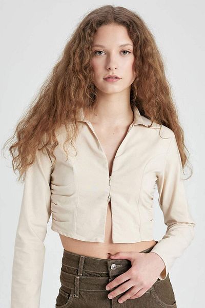 DeFacto Fitted Shirt Collar Bengal Long Sleeve Blouse C5037AX24SP