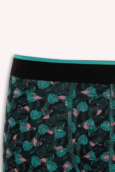 DeFacto Regular Fit 3 τεμαχίων Boxer B7970AX24SP