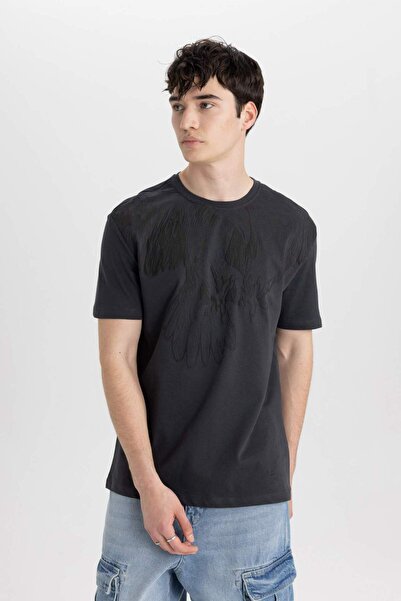 DeFacto Bedrucktes Kurzarm-T-Shirt mit normaler Passform und Rundhalsausschnitt B8485AX24SM