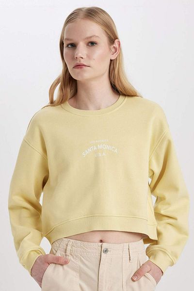 DeFacto Boxy Fit Crew Neck Printed Thick Sweatshirt C5385Ax23Cw