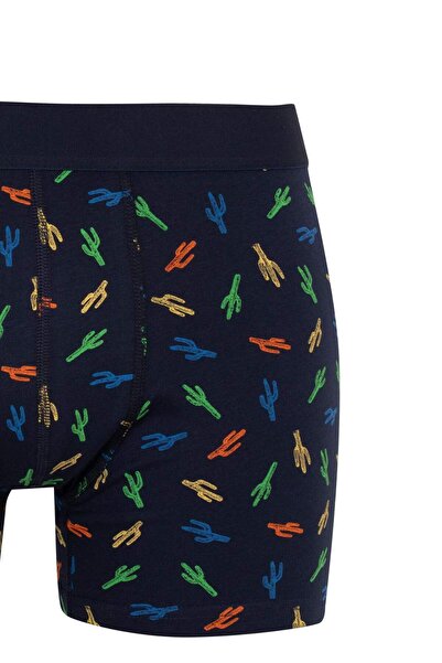 DeFacto Regular Fit 3 részes boxer B7922AX24SM