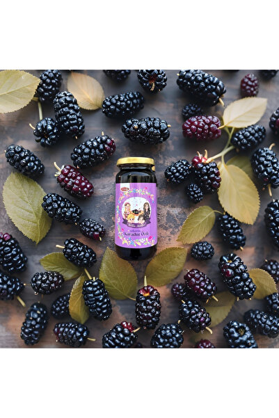 ÜRETEN ANNELER Şekersiz Karadut Özü 250 ml (PESTİSİT ANALİZLİ,KORUYUCU IÇERMEZ)