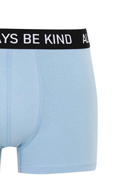 DeFacto Regular Fit 3lü Boxer B7912AX24SM