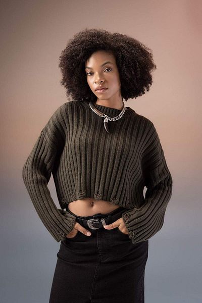 DeFacto Regular Fit Crew Neck Sweater Sweater A8151Ax23Wn