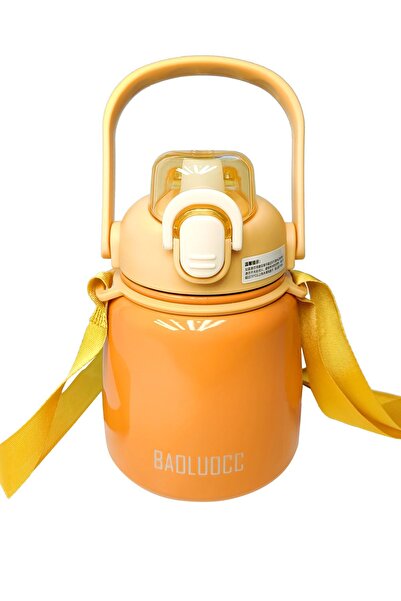 Weather Forecast 304 L Steel Orange 650 ml Water Bottle with Strap and Straw cin469tr