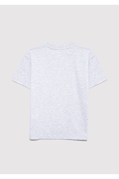 Mavi Fun Time Light Gray Boy's T-Shirt M6610359-88467