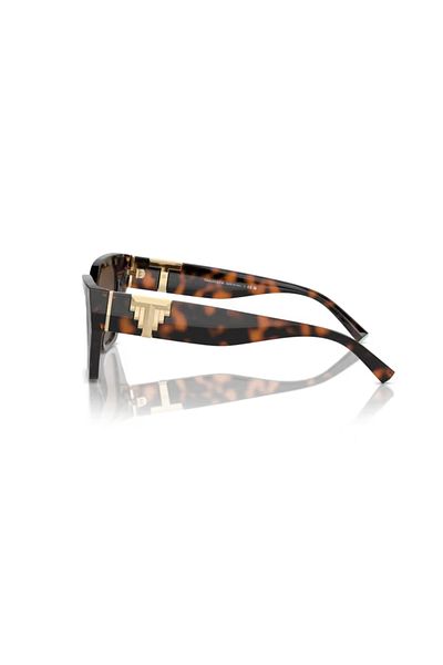 Tiffany &Co. Tf 4218 80153g 55 Women's Sunglasses