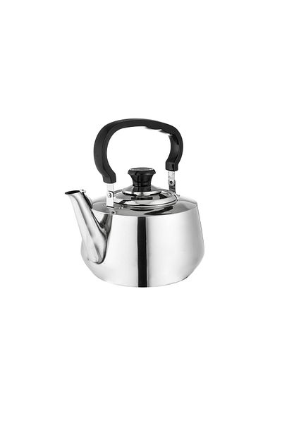 Dania Stainless Steel Heat-Resistant Non-Rust Tea Kettle, 5 Liter
