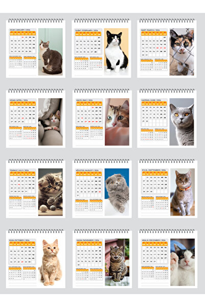 NATURELBASIM 2026 KEDİ MASA TAKVİMİ