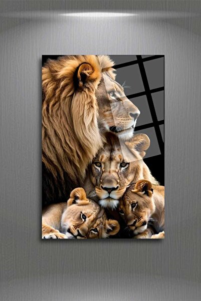 HMDS CONCEPT Aslan Ailesi, Cam Tablo 183