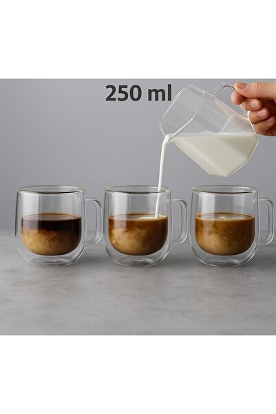 ARVALE Berri 3 Pieces Double Wall Coffee Cup Tea Cup Heat Protective Cup Mug