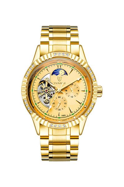 Generic Men's Mechanical Watch Full Gold