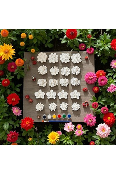 magnocandles Kendin boya hobi etkinlik taş boyama 20 adet papatya yonca orkid...