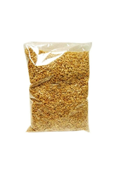 flypet Gammarus Karides Kaplumbağa Ve Balık Yemi 25 gr