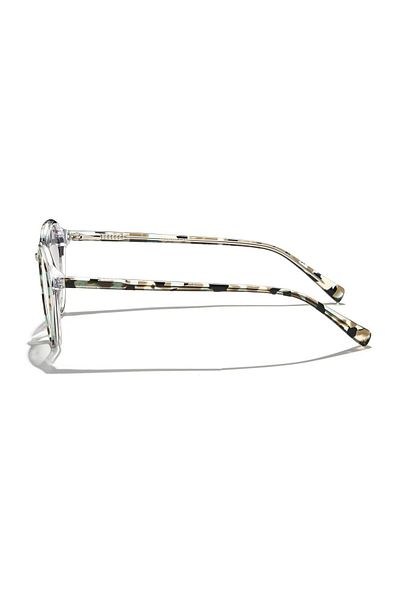 Zen Milano Eyewear Yhp8106-C4 50 Unisex Sunglasses