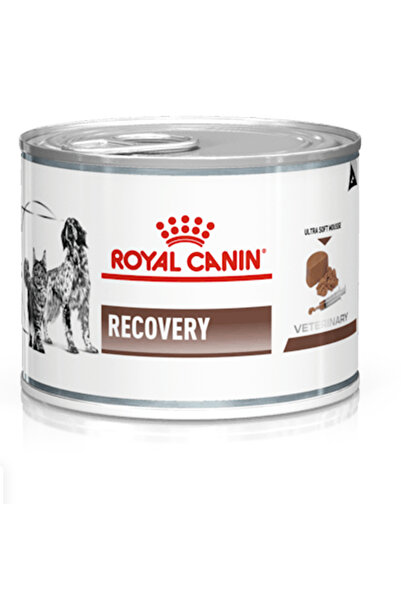 Genel Markalar Royal C. recovery kedi ve köpek yaş mamsı 195gr ( yoğun bakım ...