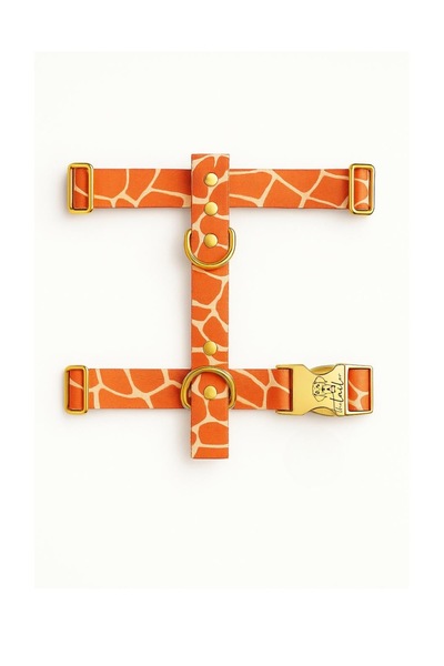 TheTailor Orange Zebra Dog Collar