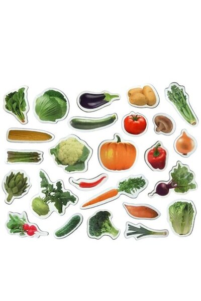 Technok Set of 25 Lean Toys Magnets, Vegetables, 3+ years, Multicolored