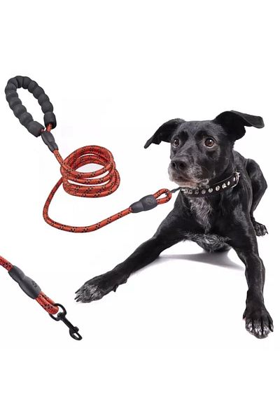 Gonga Re-orienting leash for dogs, rope type, Brown 2 m