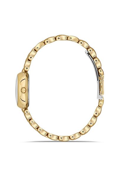 Dice Kayek Dk.1.Ag1422.04 Steel Cord Steel Case with Roman Numeral Oval Dial 3 Atm Water Resistant a
