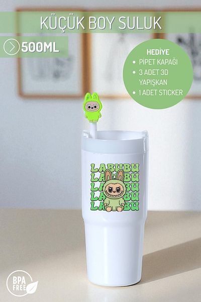 Nandy Home Labubulu Themed Small Size Colorful Water Bottle, 500ml. – Pipette Cover, 3D Adhesive and Label Gift