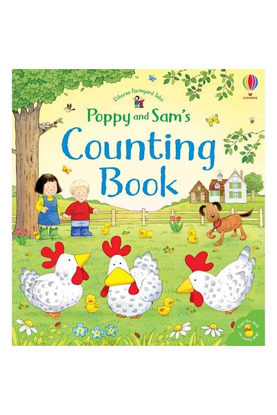 Usborne Children's book - Poppy and Sam's Counting Book