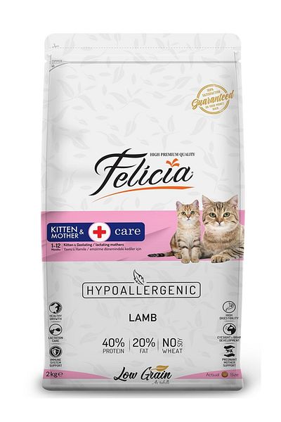 Felicia Dry food for kittens, made of chicken meat, 2 kg