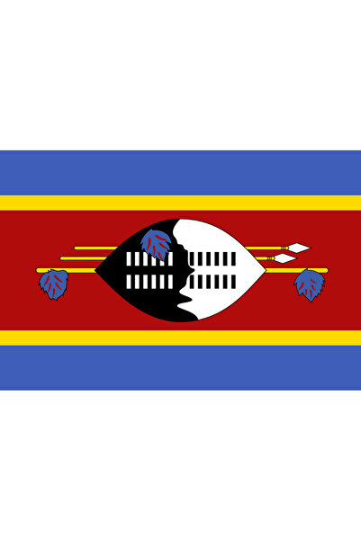 Ti Play STEAGUL PAȚULUI SVAZILAND 45x30CM PICTURĂ DE PERETE FĂRĂ CADRU PICTUR...