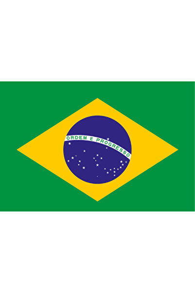 Ti Play Pictură de perete cu steagul Braziliei 45x30CM Pictură din PVC fără c...