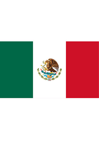 Ti Play Pictură de perete cu steagul țării MEXICO 45x26CM Pictură din PVC făr...