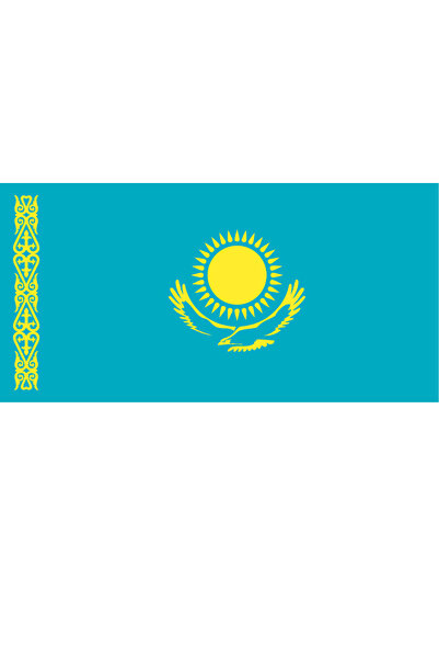 Ti Play Pictură de perete cu steagul țării Kazahstanului 45x22CM Pictură din ...