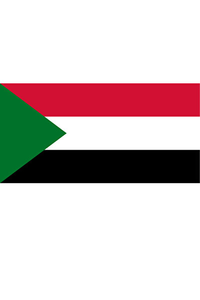 Ti Play Pictură de perete cu steagul țării SUDAN 45x22CM Pictură din PVC fără...