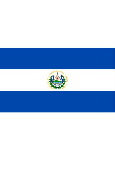 Ti Play ΣΗΜΑΝΤΙΚΗ ΣΗΜΑΝΤΙΚΗ ΕΙΚΟΝΑ ΤΗΣ ΕΛ ΣΑΛΒΑΔΟΡΙΑΣ 45x25cm ΖΩΓΡΑΦΙΚΗ ΤΟΙΧΟ...