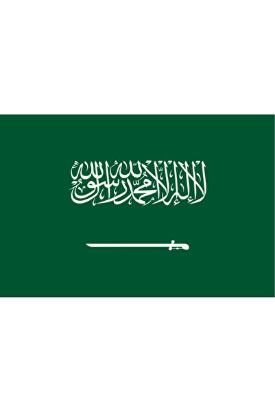 Ti Play ARABIA SAUDITA STEAGUL PAISEI 45x30CM TABLA DE PERETE TABLA FĂRĂ CADRU TABLA PVC