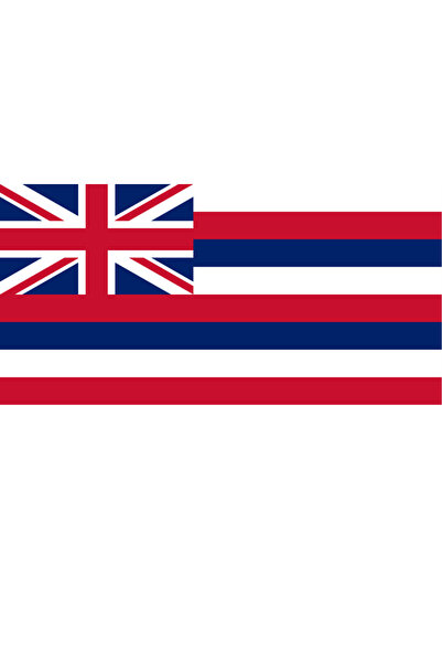 Ti Play Pictură de perete cu steagul țării Insulelor Hawaii, 45x22 cm, pictur...