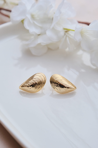AURRARİ Gold Deniz Kabuğu Parlak Küpe