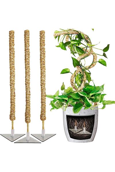 OEM Adjustable poles for supporting houseplants, set of 3x76 cm