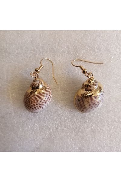 Butik Tülin Women's Authentic Handmade Natural Seashell Snail Beige Gold Gilded Earrings 4X1.5 cm Indian