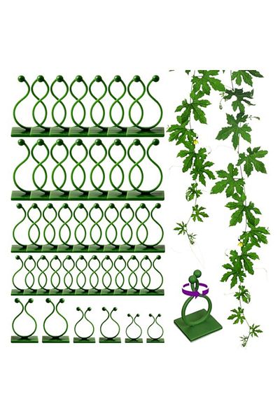 Generic Homarket Plant Climbing Wall Fixture Clips Self-Adhesive Hook Vines Traction Clips Invisible Holder