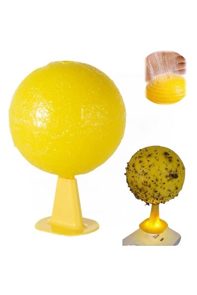 Generic مصيدة ذباب الفاكهة Mhepzol، مصائد الذباب اللاصقة، مصائد الحشرات الكرو...