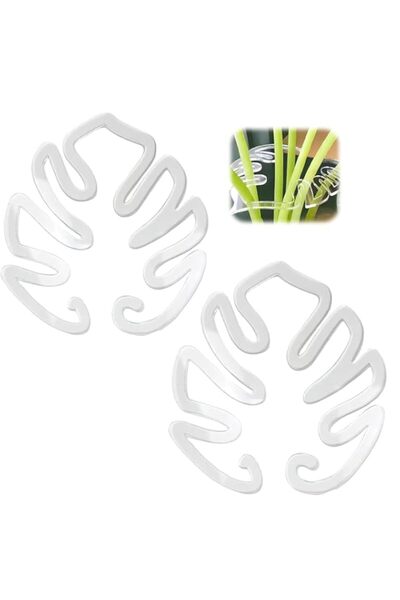Generic 2Pcs Plant Support, Transparent Flower-Shaped Plant Holders, Monstera...