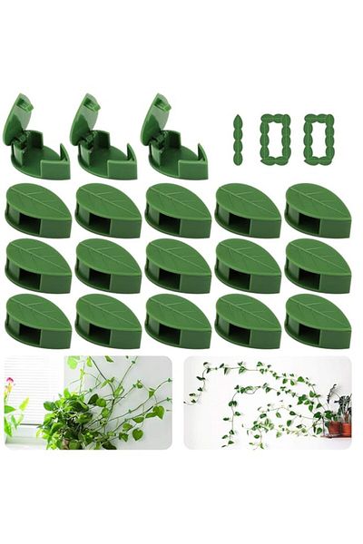 Generic 100PCS Garden Plant Climbing Wall Fixture Clips, Invisible Self-Adhesive Fixer Sticky Hook Plants C