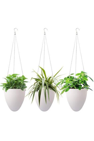 Generic أصيص نباتات عصارية معلق ذاتي الري، عبوة من 3 قطع من أزوني، أصيص زهور ...