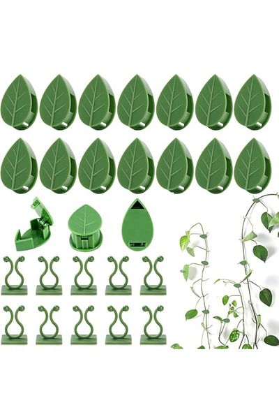 Generic 100 Pieces Plant Climbing Wall Fixture Clips Set, Plant Fixed Invisible Wall Vines Fixing Clips Sel