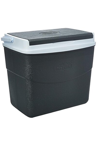 Generic صندوق تبريد بلاستيكي للنزهات من كوزموبلاست لحفظ البرودة، صندوق ثلج وع...