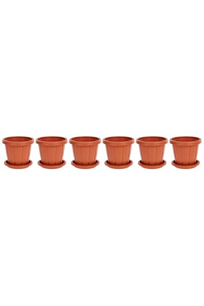 Generic Cosmoplast Cedargrain 6" Flowerpot with Tray Set of 6
