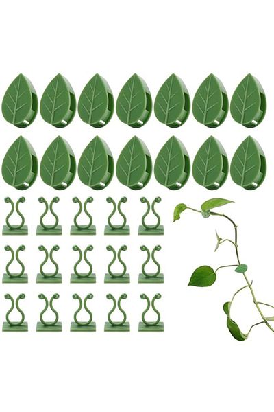 Generic KASTWAVE Plant Climbing Wall Fixture Clips, Self-Adhesive Hook Vines Traction Clips Invisible Holde