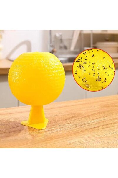 Generic كرة مصيدة ذباب الفاكهة من براونش آرتي - غير سامة، عديمة الرائحة، قابل...