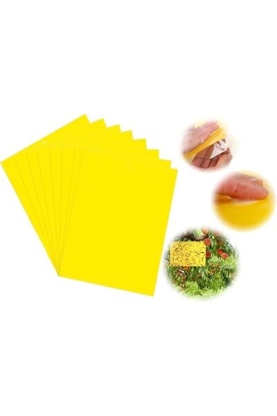 Generic 20 Pcs Yellow Sticky Fly Traps, Fly Paper Stickers, Sticky Fly Catche...