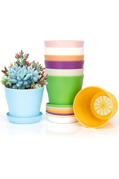 Generic ديفسيدار، 8 قطع من أواني النباتات، هدايا البستنة، وعاء بلاستيكي للنبا...